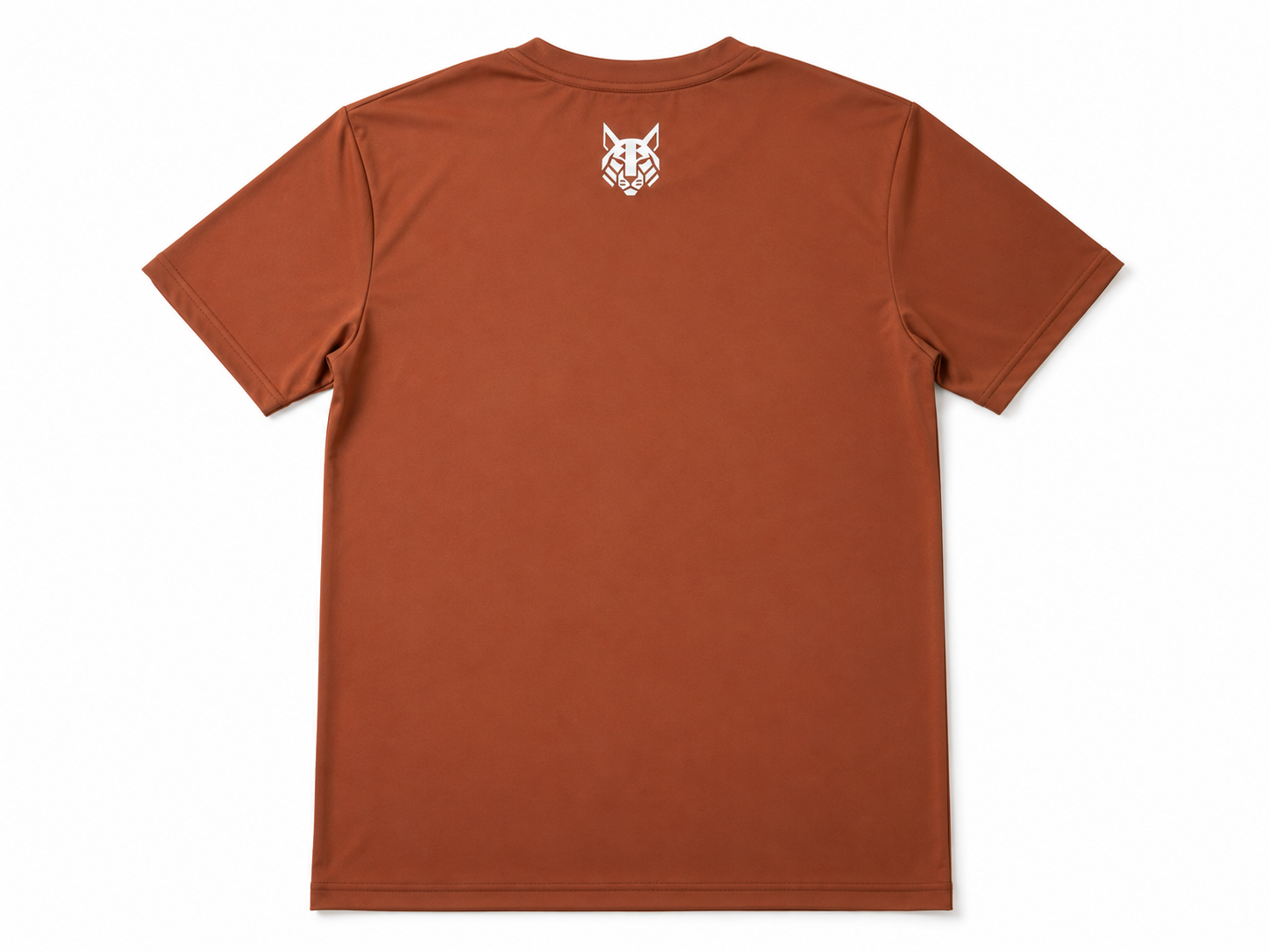 FerLynx Performance Tee Brown - Full set with shorts